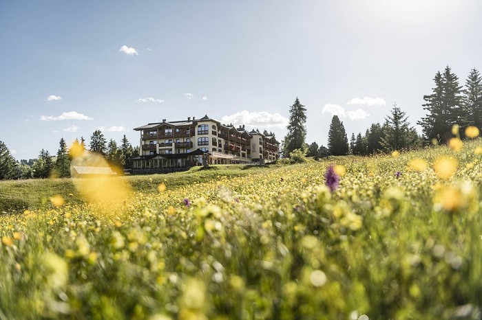 Hotel Steger Dellai